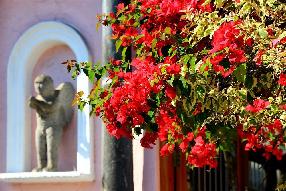 Hotel El Pueblito De Fortin Fortin de las Flores Exterior photo